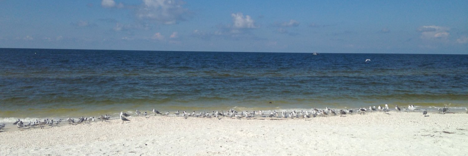 NadeanaCook's profile banner image