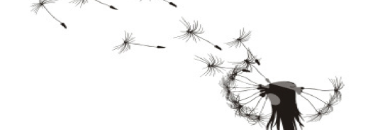 SeedLearningNZ's profile banner image