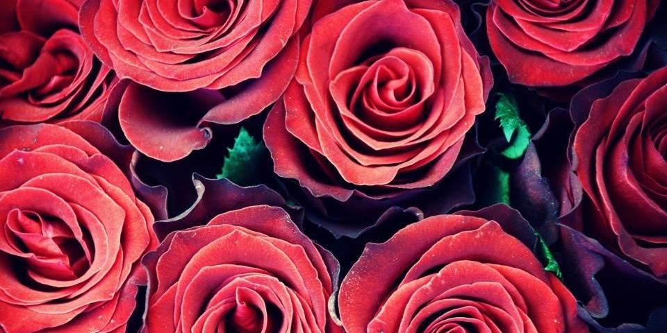 FSZRLIIO8's profile banner image