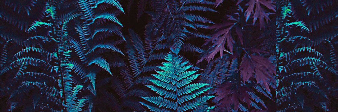 cherriberriboii's profile banner image