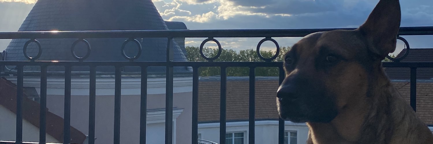 MerwoineMajidi's profile banner image