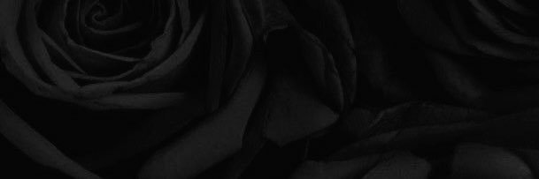 crissye_23's profile banner image