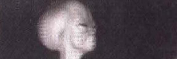 VolumeWills's profile banner image