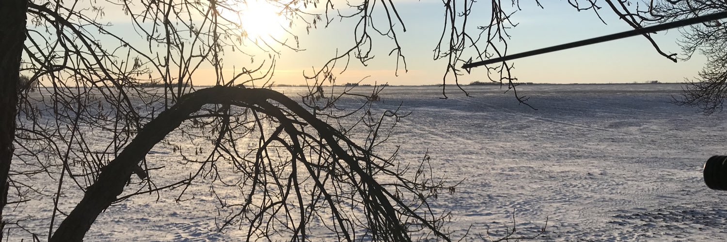M Po 🇺🇸🐺🏒 banner