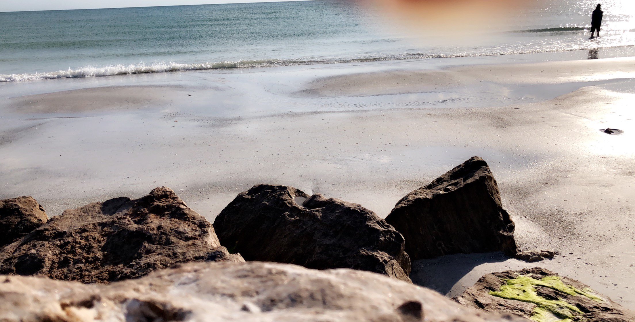 Jessaminaaa's profile banner image
