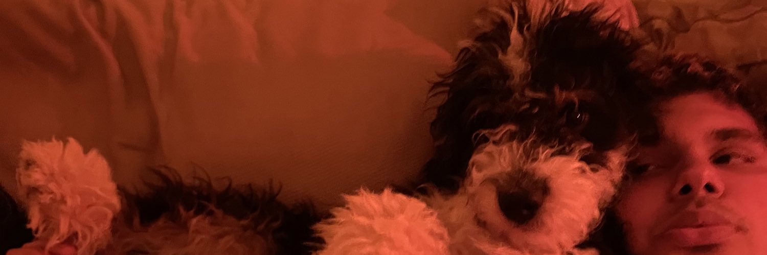 maddiedial's profile banner image