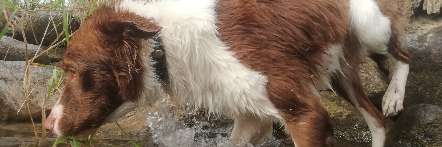 MenfhisR's profile banner image