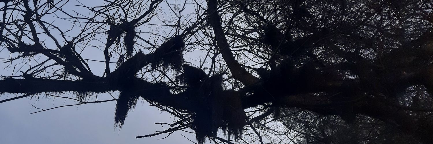 aditsteelman's profile banner image