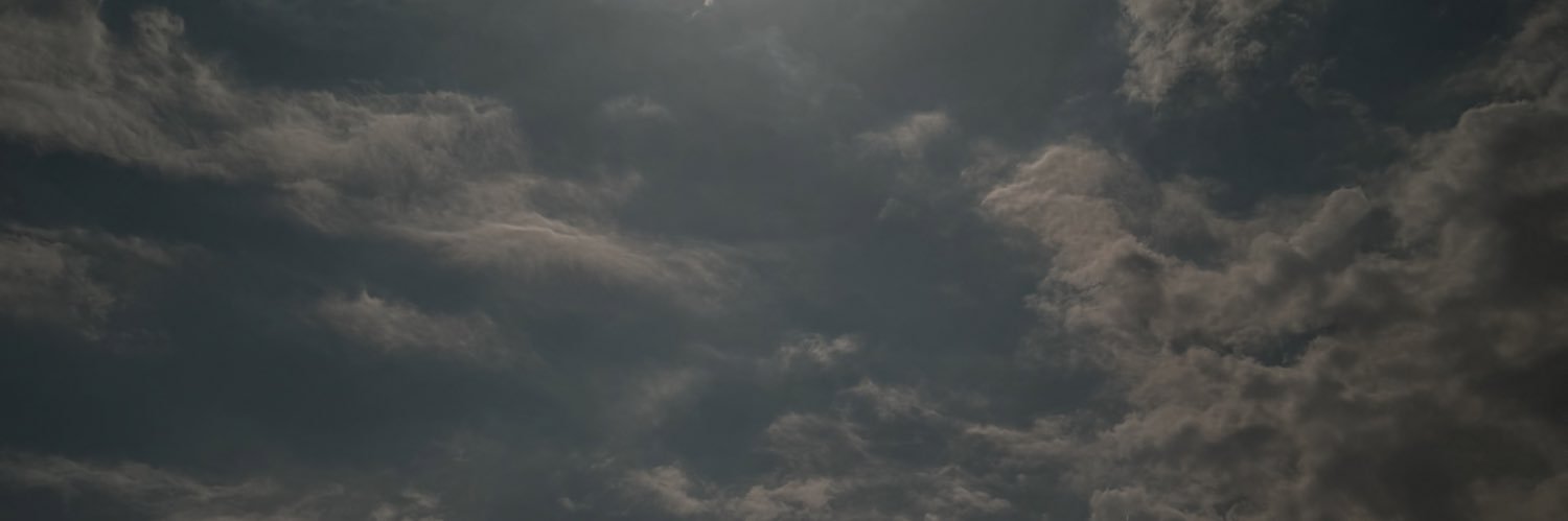 Lizzy2wavy's profile banner image