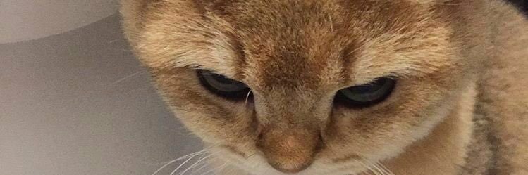 MatiasCanoo's profile banner image