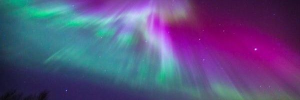 Lentothesavior's profile banner image