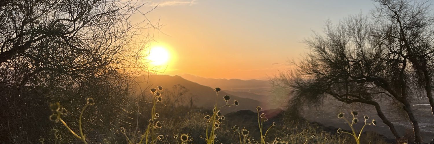 akademic1908's profile banner image