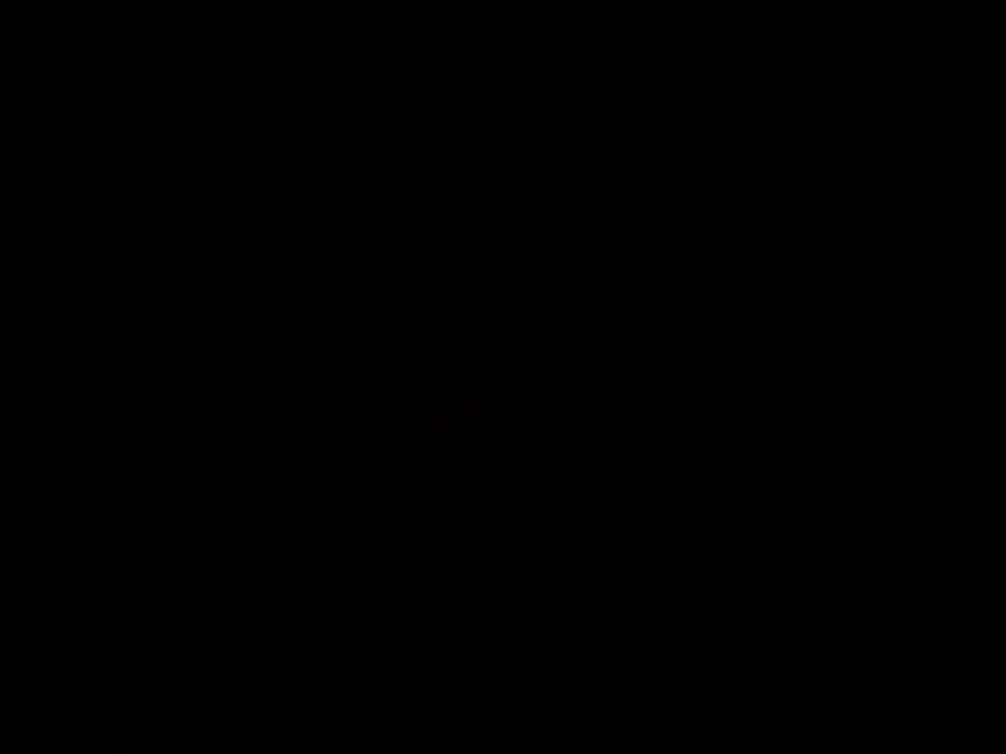 Kidomaniac's profile banner image
