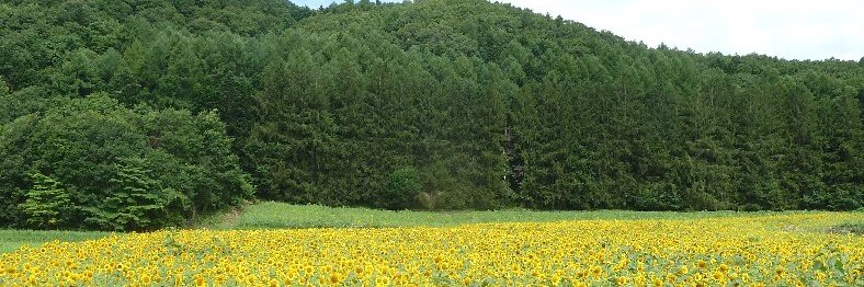 田舎暮しの唱悦's banner