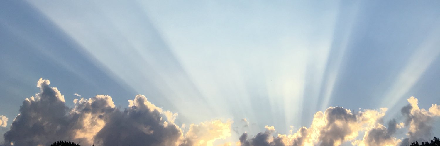 juliahndrf's profile banner image