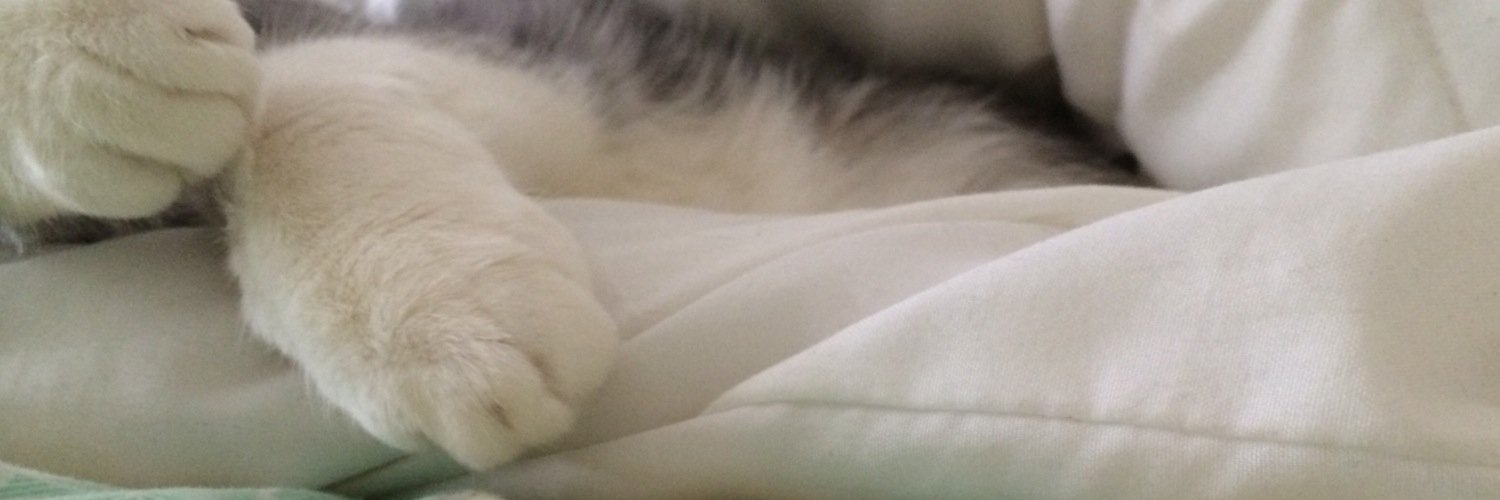 thereal_izzycat's profile banner image