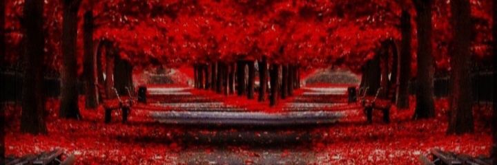 dclprz's profile banner image
