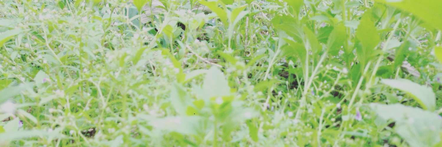 guaypoon's profile banner image