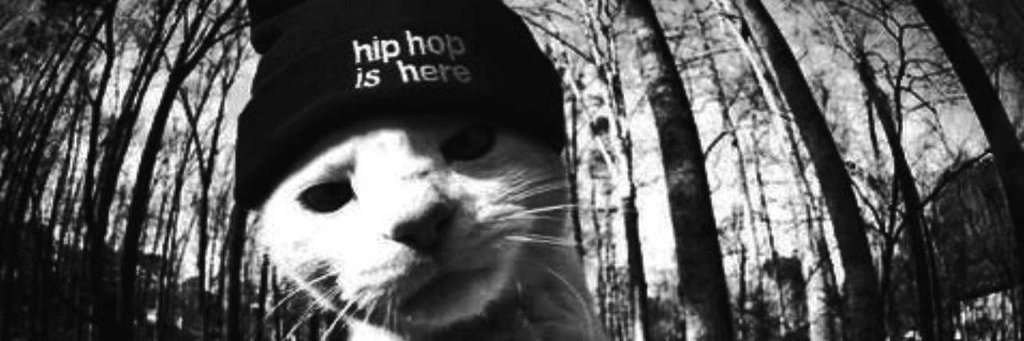 Pau Rodríguez ♕ banner