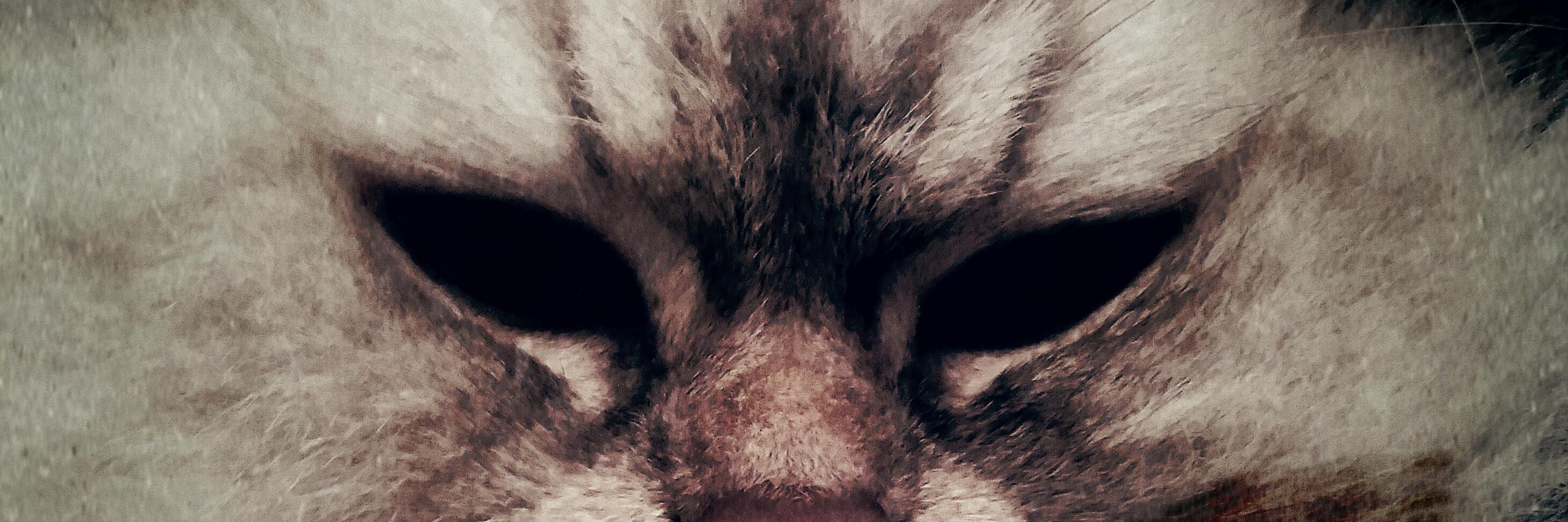 UDammass's profile banner image