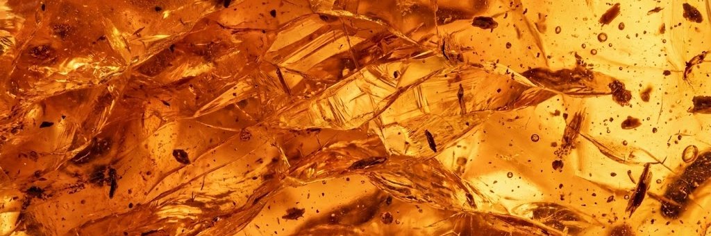 KicksPost's profile banner image