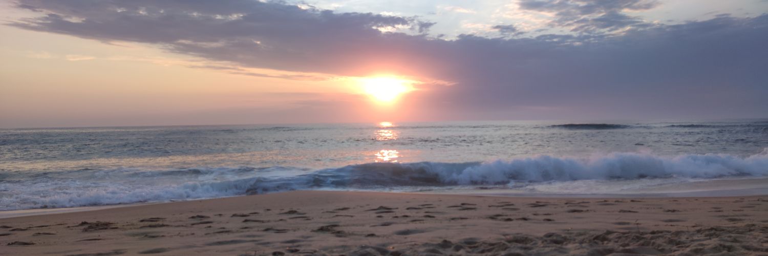 Lorillis's profile banner image