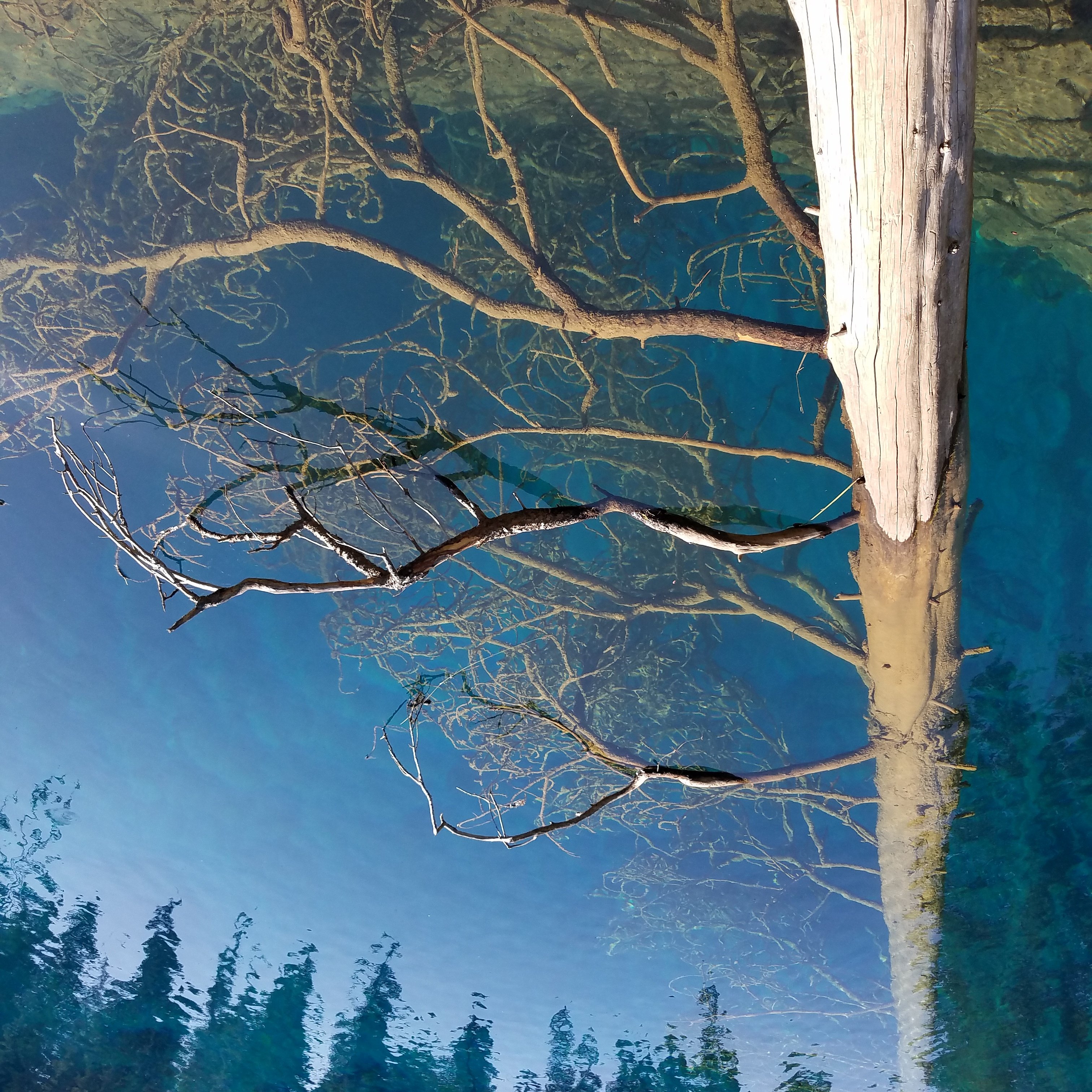 ZazzMaven's profile banner image