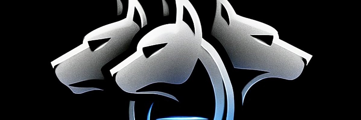 Dom | Cerberus Coaching banner