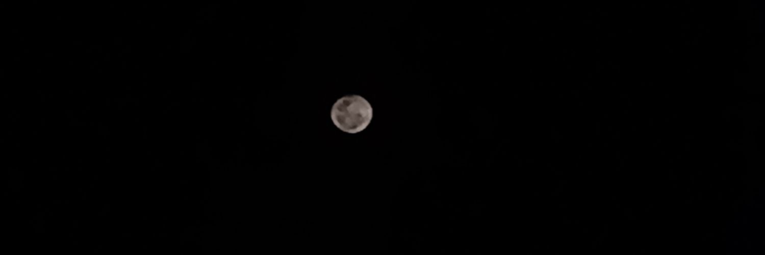 bncfndmr's profile banner image