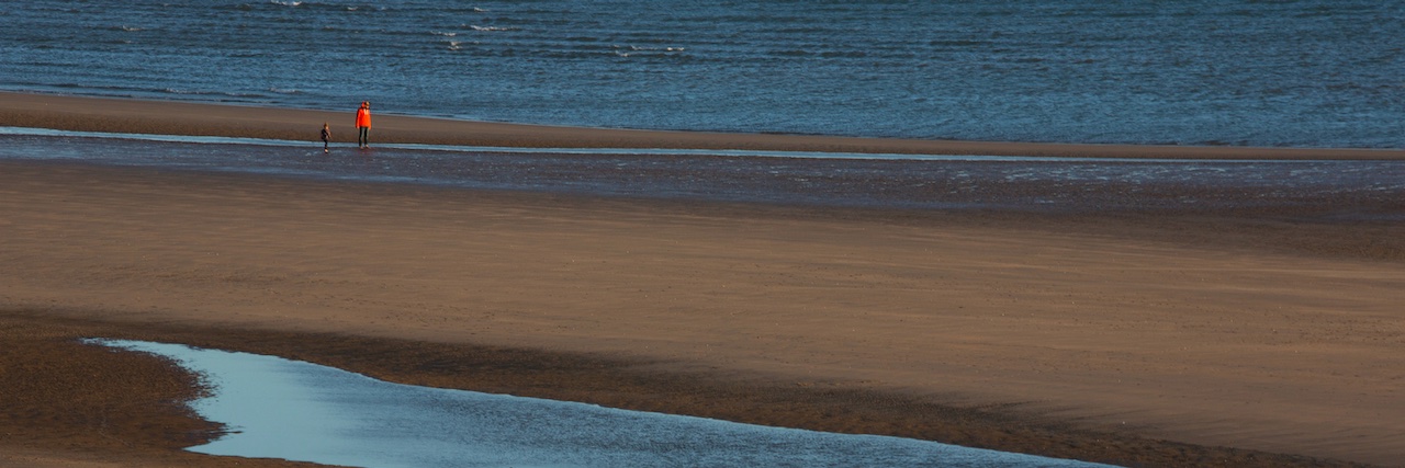 thegallivant's profile banner image
