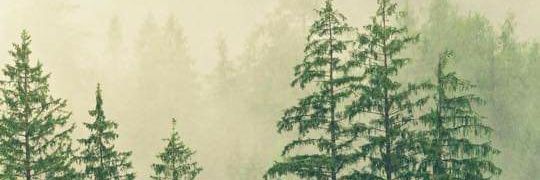 wakingdragons's profile banner image