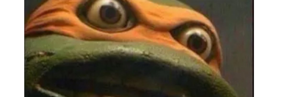 WhitingBrady's profile banner image