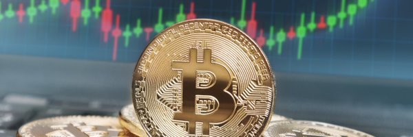 cryptonord1 Profile Banner