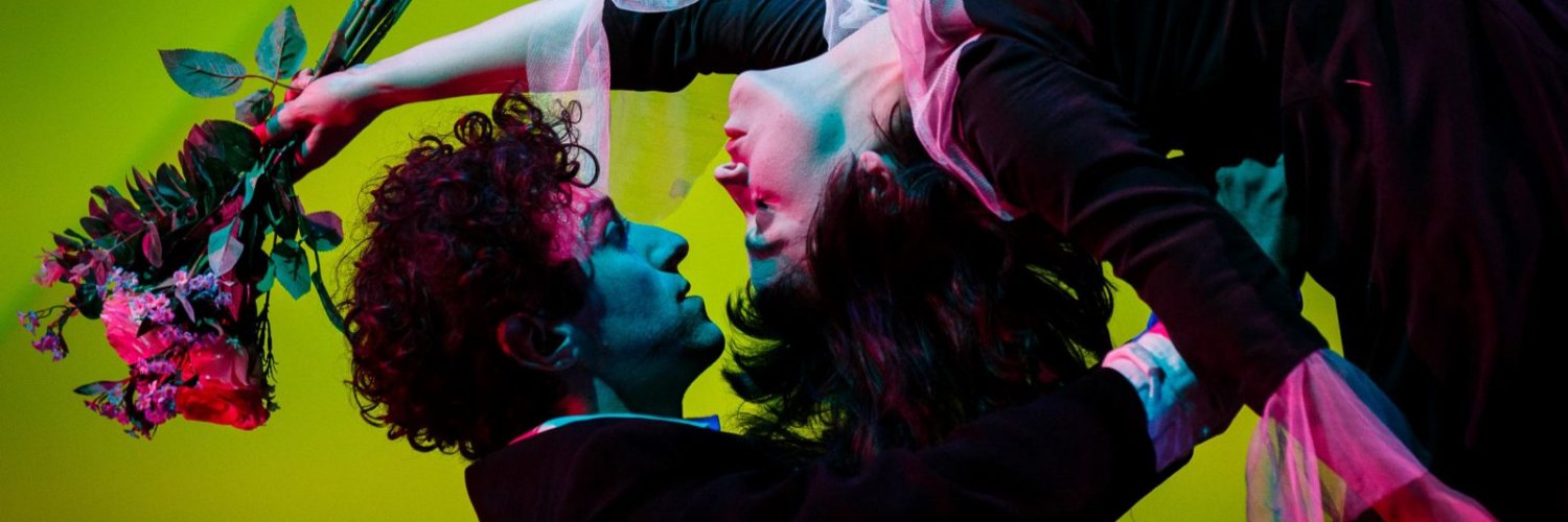 elle9095's profile banner image
