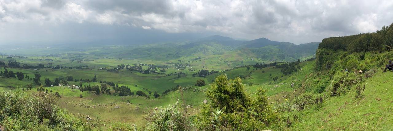 Girum A Habtewold banner