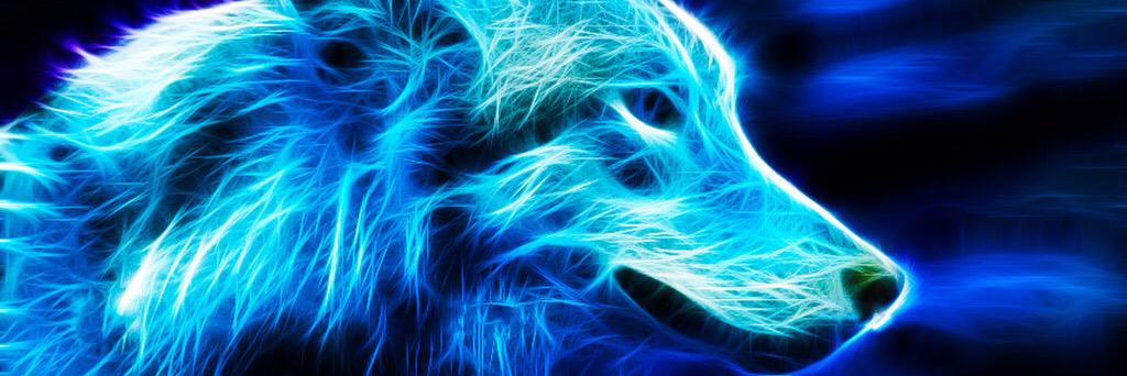 Wolf_Counselor's profile banner image