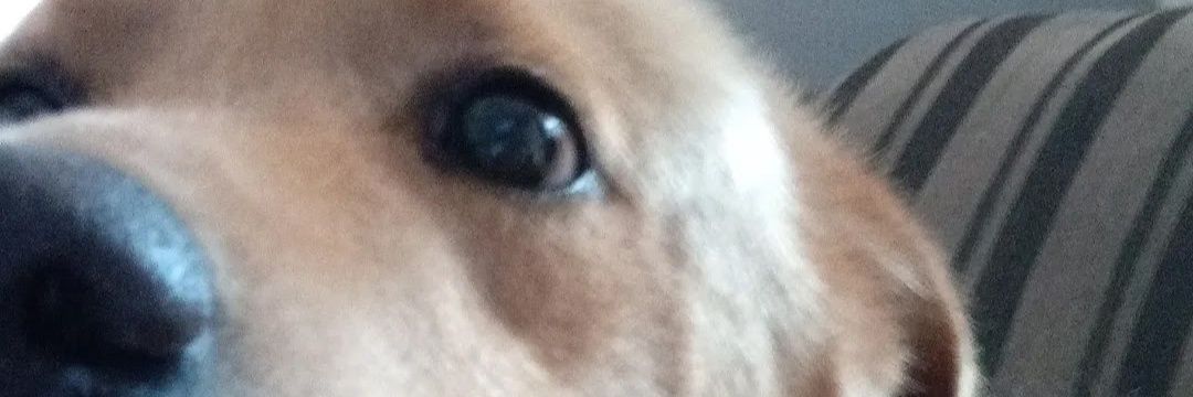 isawtf_'s profile banner image