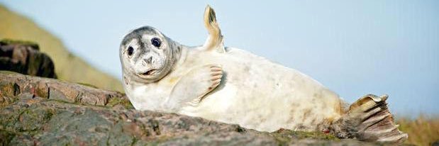 あちらて⛩️ banner