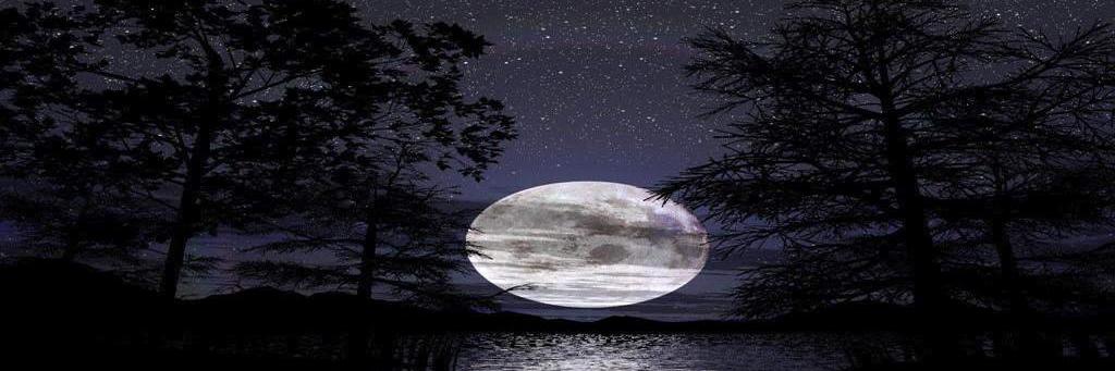 leathernlitech1's profile banner image