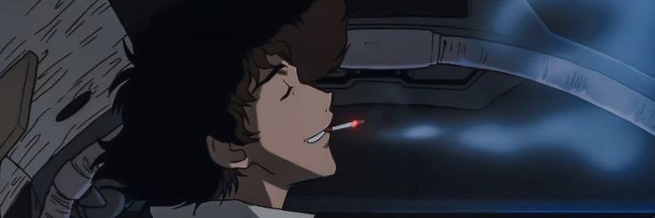 maicocinno's profile banner image