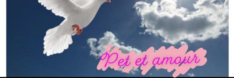 mtldeh's profile banner image
