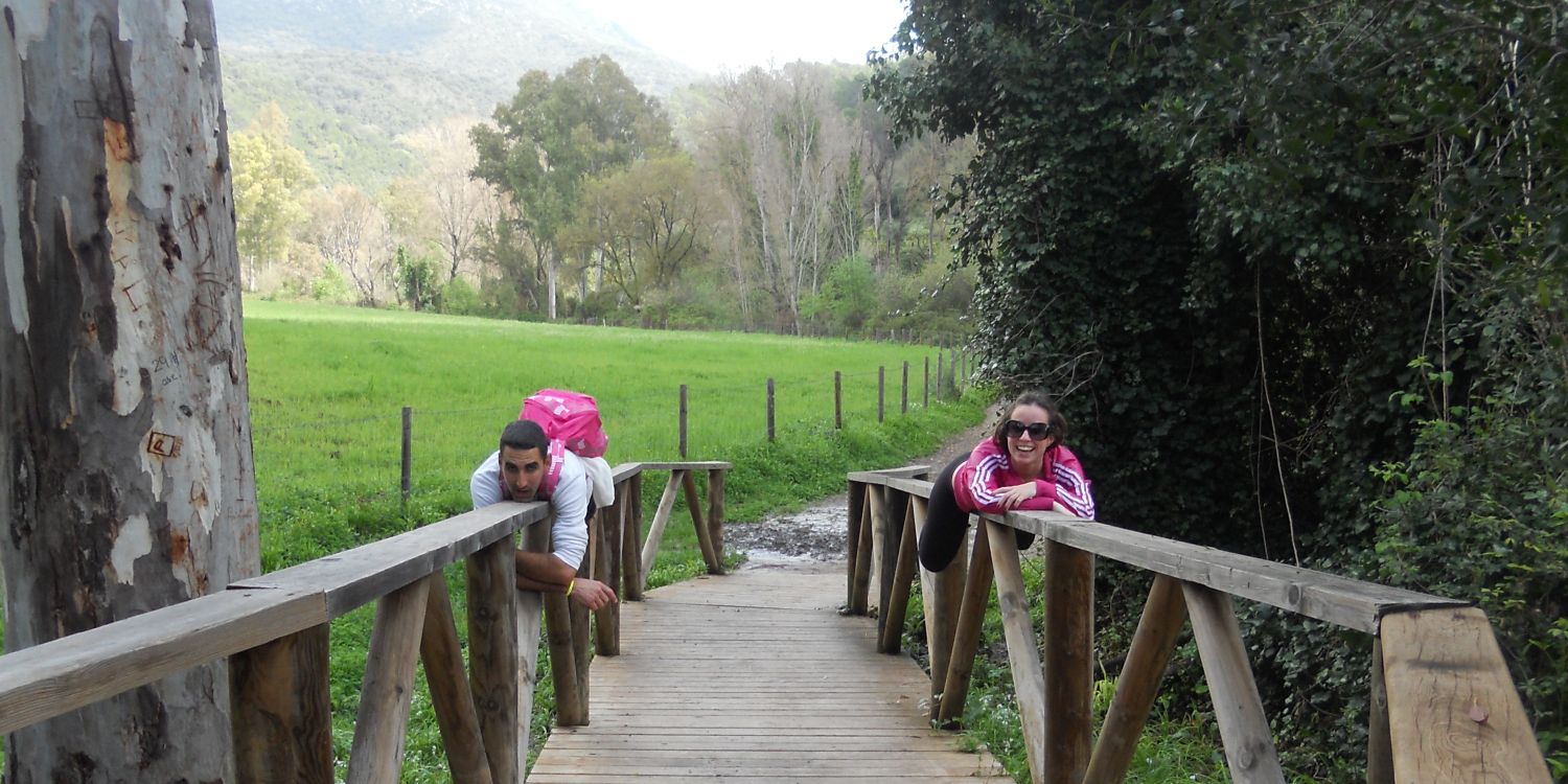 nevado_julia's profile banner image