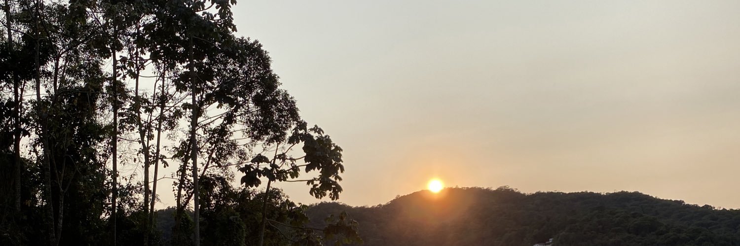 marianabento's profile banner image