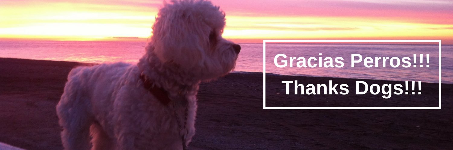 GraciasPerros's profile banner image