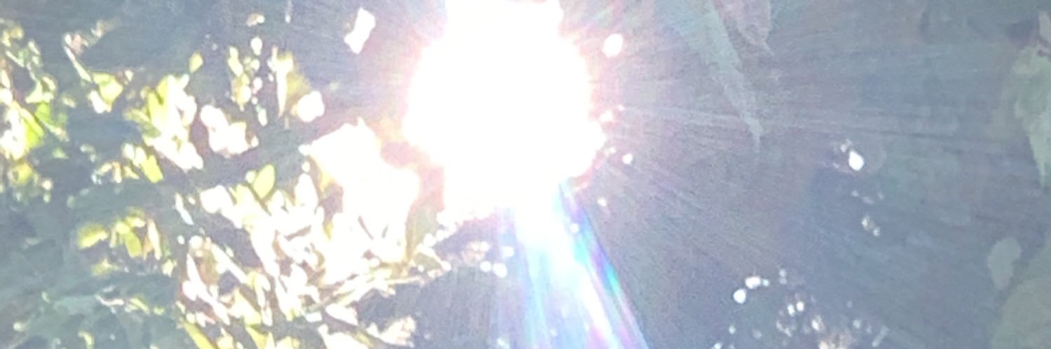 soniarodgar's profile banner image