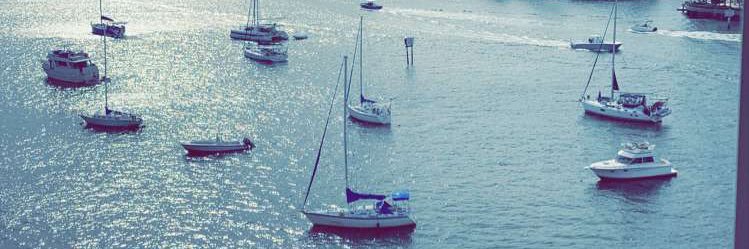 Dylan banner