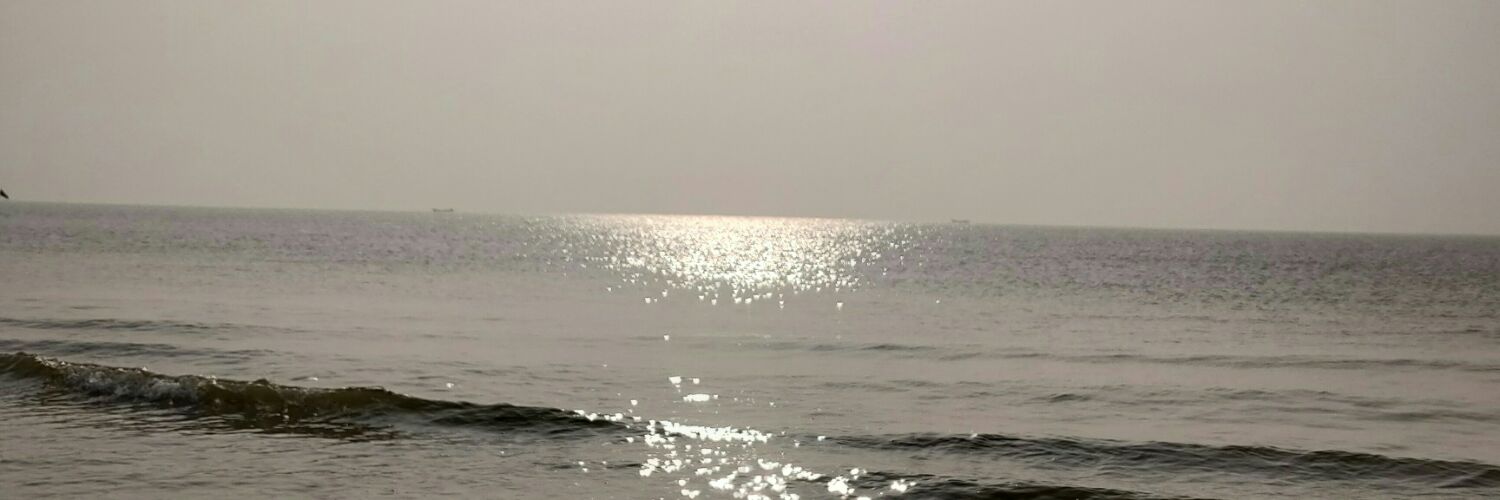 MansiBasket's profile banner image