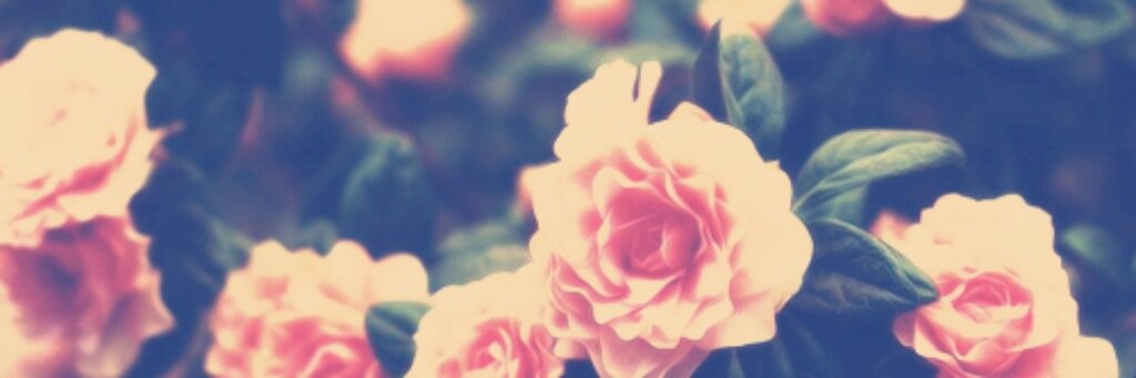 _samantha325's profile banner image