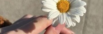 Aline Merheb banner