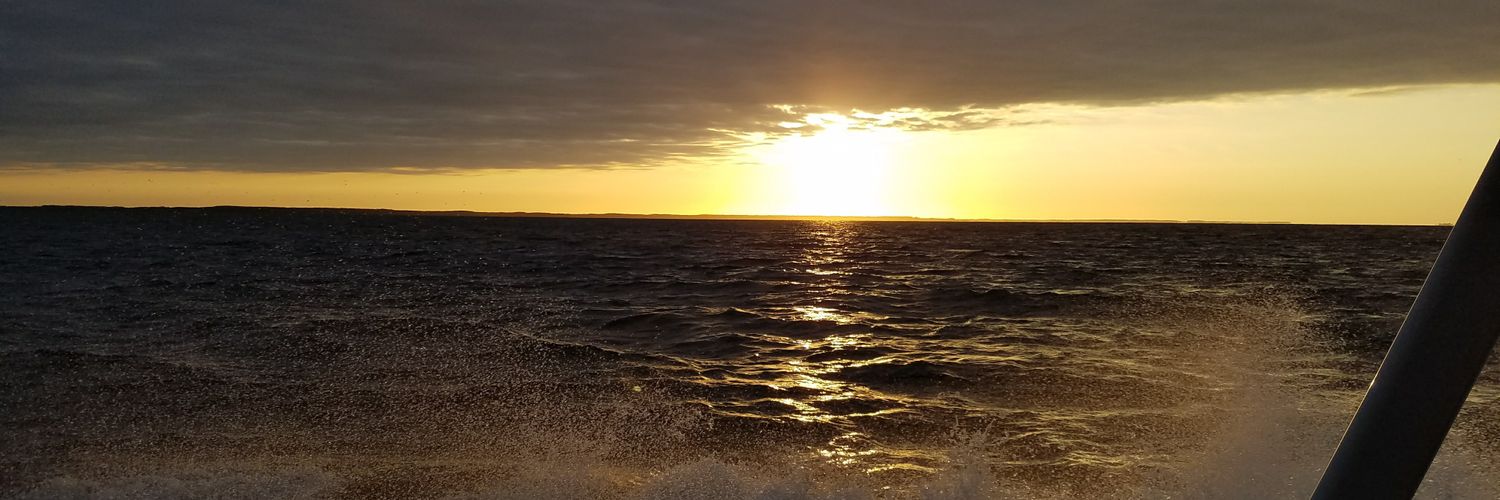MinnesotaMk's profile banner image